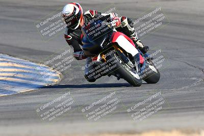 media/Feb-13-2022-SoCal Trackdays (Sun) [[c9210d39ca]]/Turn 10 (920am)/